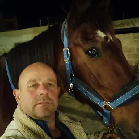 White Stallion מליאהה