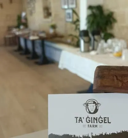 White Stallion דירה *