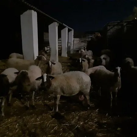 White Stallion דירה