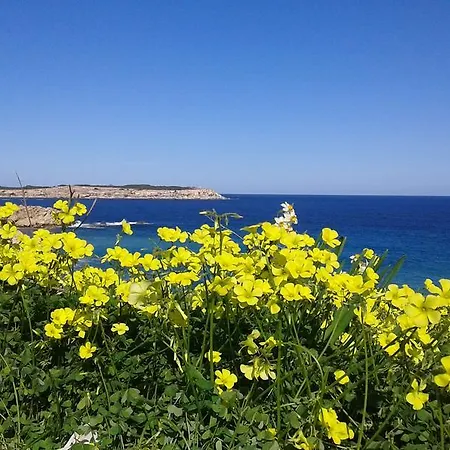 Appartement White Stallion Mellieħa