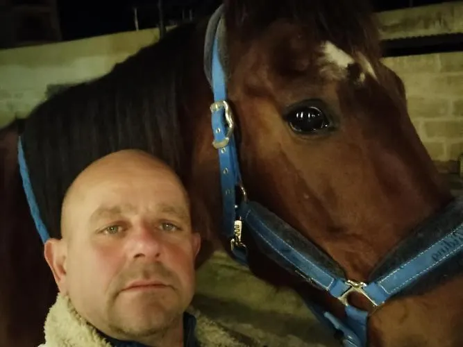 White Stallion Mellieħa