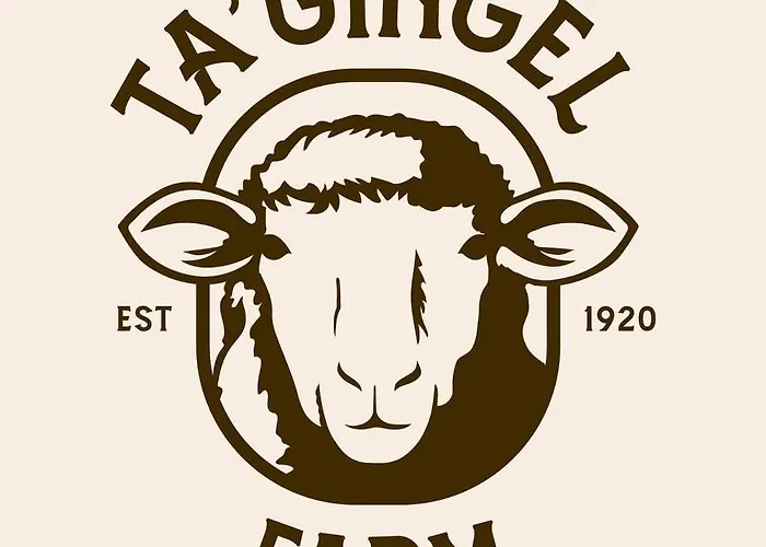 Lejlighed White Stallion *