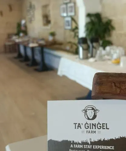 White Stallion Lejlighed *