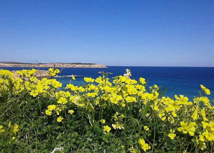 Lejlighed White Stallion Mellieħa