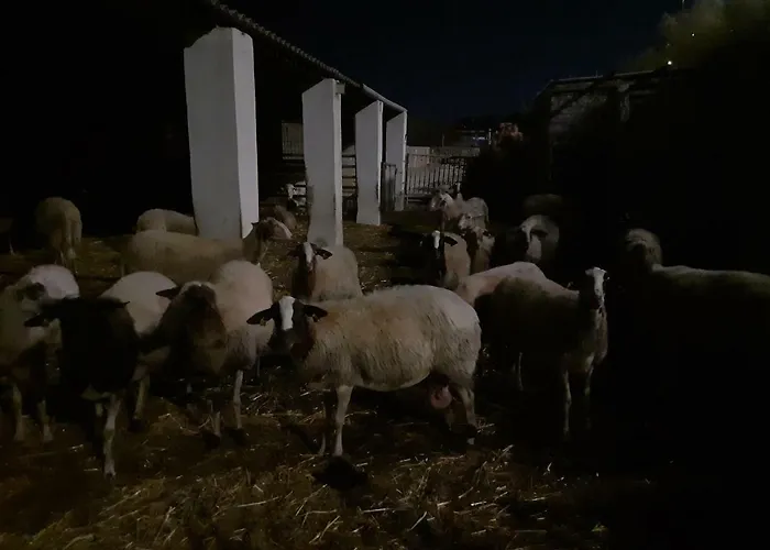 White Stallion Lejlighed